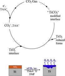 Electrochemical carboxylation of titanium to generate versatile new interfaces