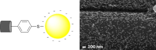 Immobilization of synthetic gold nanoparticles on a three-dimensional porous electrode