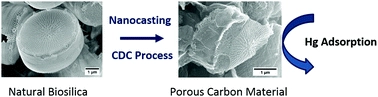 Bioinspired carbide-derived carbons with hierarchical pore structure for the adsorptive removal of mercury from aqueous solution