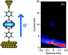 Specific single-molecule detection of glucose in a supramolecularly designed tunnel junction