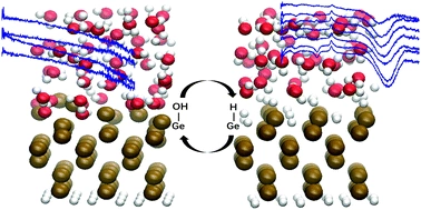 Electrode potential dependent desolvation and resolvation of germanium(100) in contact with aqueous perchlorate electrolytes
