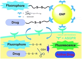 Stimuli-responsive multifunctional glyconanoparticle platforms for targeted drug delivery and cancer cell imaging