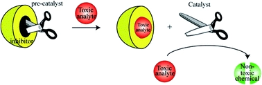 Catalyst displacement assay: a supramolecular approach for the design of smart latent catalysts for pollutant monitoring and removal