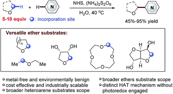 Direct C[small alpha]-heteroarylation of structurally diverse ethers via a mild N-hydroxysuccinimide mediated cross-dehydrogenative coupling reaction