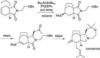 First total synthesis of concavine