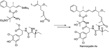 Total synthesis of nannocystin Ax