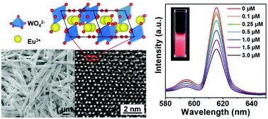 Surface-controlled preparation of EuWO4(OH) nanobelts and their hybrid with Au nanoparticles as a novel enzyme-free sensing platform towards hydrogen peroxide