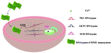Multiplexed gene silencing in living cells and in vivo using a DNAzymes-CoOOH nanocomposite