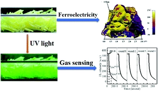 (Diisopropylammonium)2MnBr4: a multifunctional ferroelectric with efficient green-emission and excellent gas sensing properties