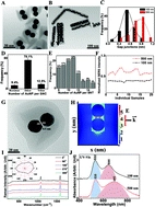 Silica-encapsulated gold nanoparticle dimers for organelle-targeted cellular delivery
