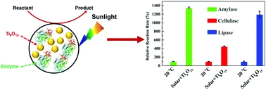 Enhanced enzymatic reactions by solar-to-thermal conversion nanoparticles