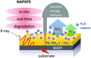 In situ investigation of degradation at organometal halide perovskite surfaces by X-ray photoelectron spectroscopy at realistic water vapour pressure
