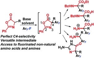 Polyfluoroarylation of oxazolones: access to non-natural fluorinated amino acids