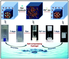 A tripeptide-based self-shrinking hydrogel for waste-water treatment: removal of toxic organic dyes and lead (Pb2+) ions