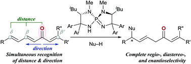 Unique site-selectivity control in asymmetric Michael addition of azlactone to alkenyl dienyl ketones enabled by P-spiro chiral iminophosphorane catalysis