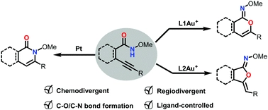 Access to divergent benzo-heterocycles via a catalyst-dependent strategy in the controllable cyclization of o-alkynyl-N-methoxyl-benzamides