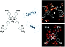 An aza-BODIPY based near-infrared fluorescent probe for sensitive discrimination of cysteine/homocysteine and glutathione in living cells