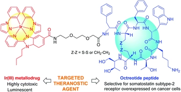 Somatostatin receptor-targeted organometallic iridium(III) complexes as novel theranostic agents