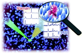 "Colored" inorganic dopants for inducing liquid crystal chiral nematic and blue phases: monitoring of dopant-host interaction by Raman spectroscopy