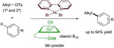 Highly nucleophilic vitamin B12-assisted nickel-catalysed reductive coupling of aryl halides and non-activated alkyl tosylates