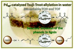 Highly efficient Tsuji-Trost allylation in water catalyzed by Pd-nanoparticles