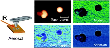 Nanoscale spectroscopic and mechanical characterization of individual aerosol particles using peak force infrared microscopy