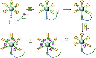 A catalytic assembled enzyme-free three-dimensional DNA walker and its sensing application