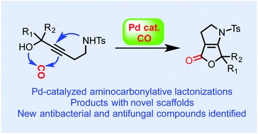 Rapid synthesis of bicyclic lactones via palladium-catalyzed aminocarbonylative lactonizations