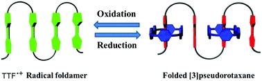 Reversible conversion between a pleated oligo-tetrathiafulvalene radical foldamer and folded donor-acceptor [3]pseudorotaxane under redox conditions