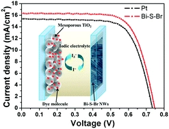 Bismuth-based ternary nanowires as efficient electrocatalysts for dye sensitized solar cells