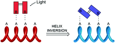 In situ control of polymer helicity with a non-covalently bound photoresponsive molecular motor dopant