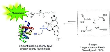 Scalable and practical synthesis of clickable Cu-chelating azides