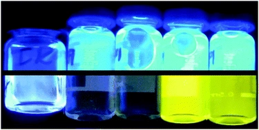 pH-Mediated molecular differentiation for fluorimetric quantification of chemotherapeutic drugs in human plasma
