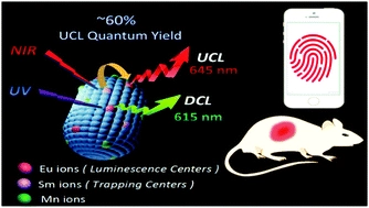 Highly-luminescent Eu,Sm,Mn-doped CaS up/down conversion nano-particles: application to ultra-sensitive latent fingerprint detection and in vivo bioimaging