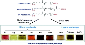 Utility of PEGylated dithiolane ligands for direct synthesis of water-soluble Au, Ag, Pt, Pd, Cu and AuPt nanoparticles