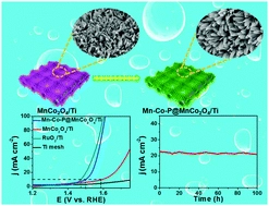 In situ development of amorphous Mn-Co-P shell on MnCo2O4 nanowire array for superior oxygen evolution electrocatalysis in alkaline media