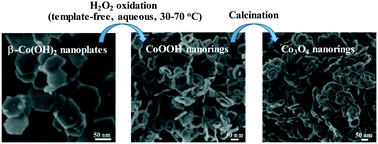 Template-free synthesis of Co3O4 nanorings and their catalytic application