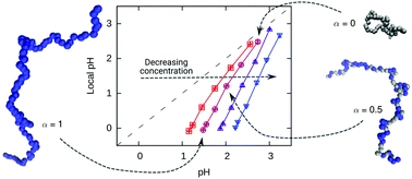 Local pH and effective pKA of weak polyelectrolytes - insights from computer simulations