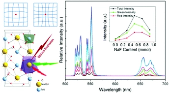 A novel anion doping strategy to enhance upconversion luminescence in NaGd(MoO4)2:Yb3+/Er3+ nanophosphors