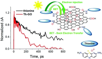 Thionine-graphene oxide covalent hybrid and its interaction with light
