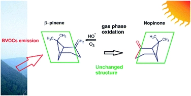 The quasi-unchanged gas-phase molecular structures of the atmospheric aerosol precursor [small beta]-pinene and its oxidation product nopinone