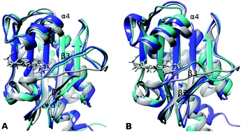 Structural heterogeneity in a parent ground-state structure of AnPixJg2 revealed by theory and spectroscopy