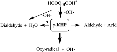Time-resolved measurements of product formation in the low-temperature (550-675 K) oxidation of neopentane: a probe to investigate chain-branching mechanism