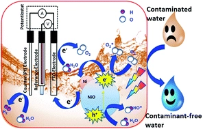 Role of Ni in hetero-architectured NiO/Ni composites for enhanced catalytic performance
