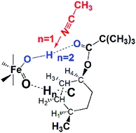 Computational analysis of site differences in selective aliphatic C-H hydroxylation by nonheme iron-oxo complexes