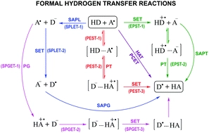 The role of acid-base equilibria in formal hydrogen transfer reactions: tryptophan radical repair by uric acid as a paradigmatic case