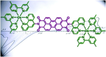 Multichromophoric hybrid species made of perylene bisimide derivatives and Ru(II) and Os(II) polypyridine subunits