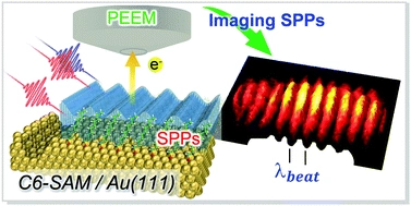 Two-photon photoelectron emission microscopy for surface plasmon polaritons at the Au(111) surface decorated with alkanethiolate self-assembled monolayers