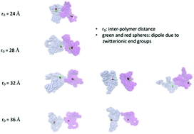 Aggregation of cyclic polypeptoids bearing zwitterionic end-groups with attractive dipole-dipole and solvophobic interactions: a study by small-angle neutron scattering and molecular dynamics simulation