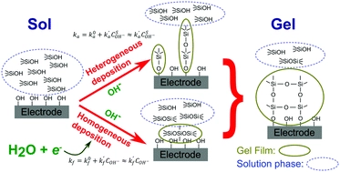 Kinetics of the electrochemically-assisted deposition of sol-gel films